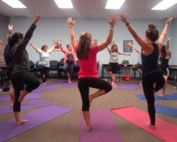 Adult Yoga